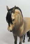 MARACA-OOAK DAPPLE BUCKSKIN ANDALUSIAN BY DAWN QUICK 8/10/18