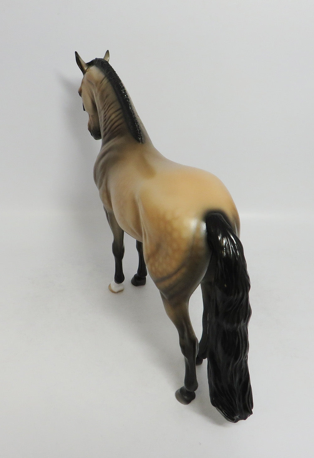 MARACA-OOAK DAPPLE BUCKSKIN ANDALUSIAN BY DAWN QUICK 8/10/18