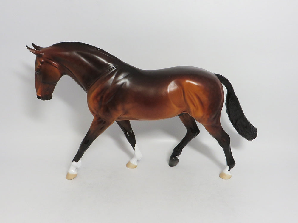 KING OF DIAMONDS DAPPLE BAY IRISH DRAFT BY DAWN QUICK 8/10/18