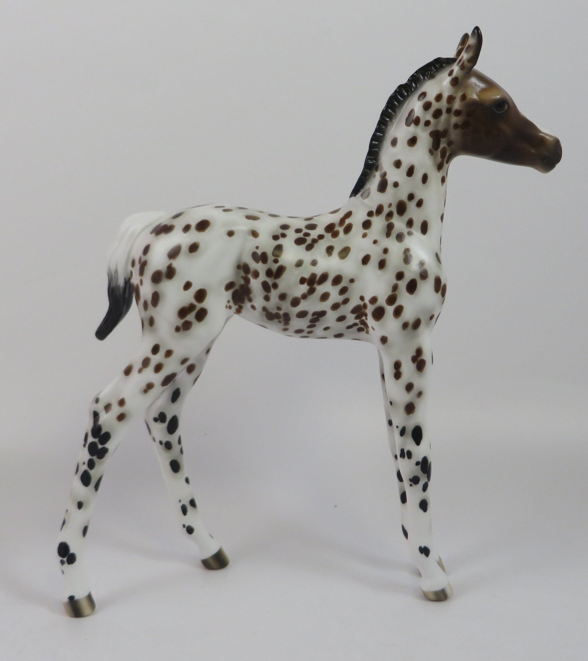 HOWDY-OOAK LOUD LEOPARD APPALOOSA FOAL BY SHERYL LEISURE 9/6/19