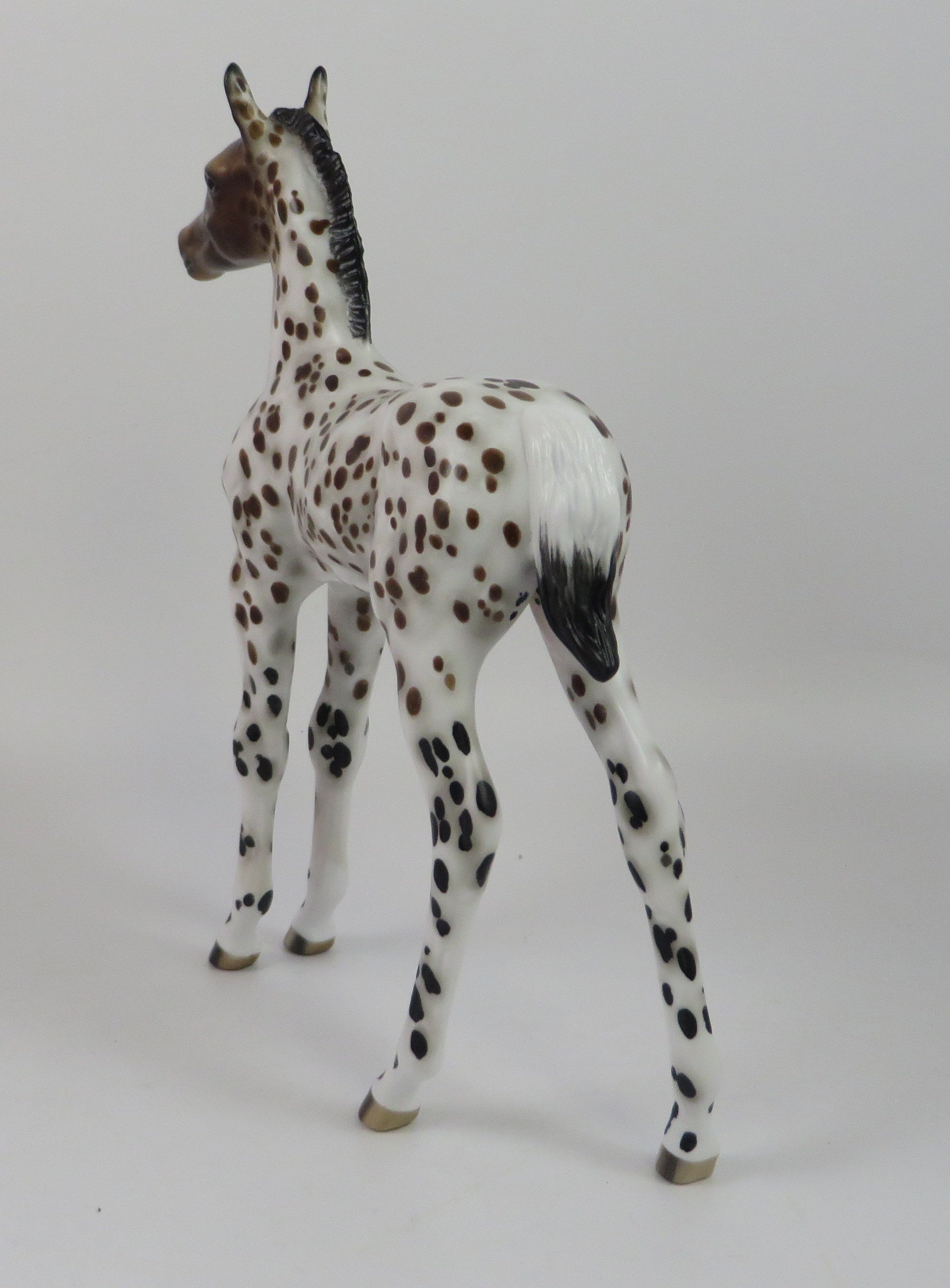 HOWDY-OOAK LOUD LEOPARD APPALOOSA FOAL BY SHERYL LEISURE 9/6/19