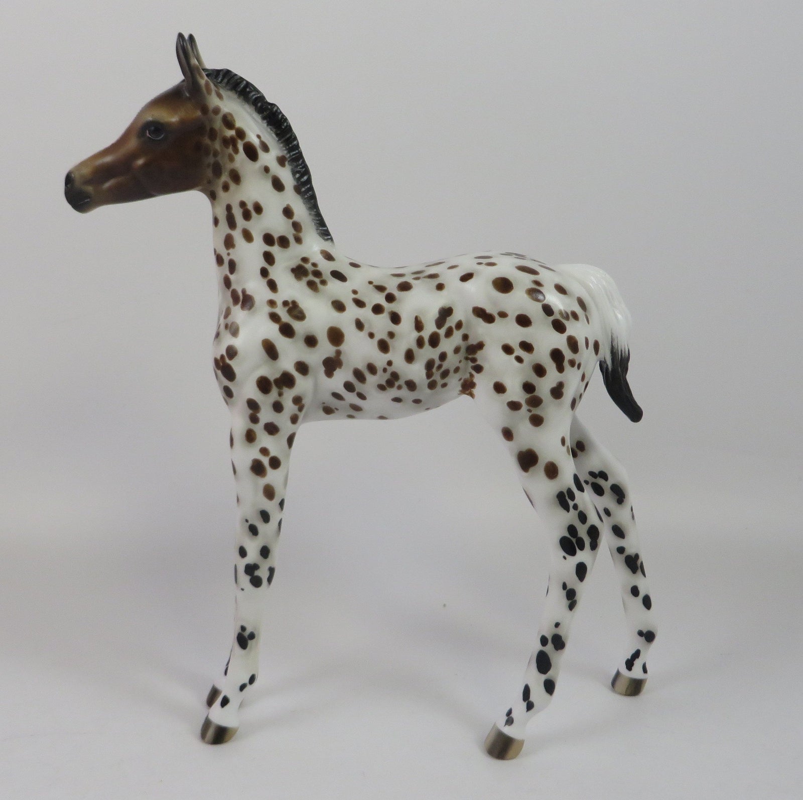 HOWDY-OOAK LOUD LEOPARD APPALOOSA FOAL BY SHERYL LEISURE 9/6/19