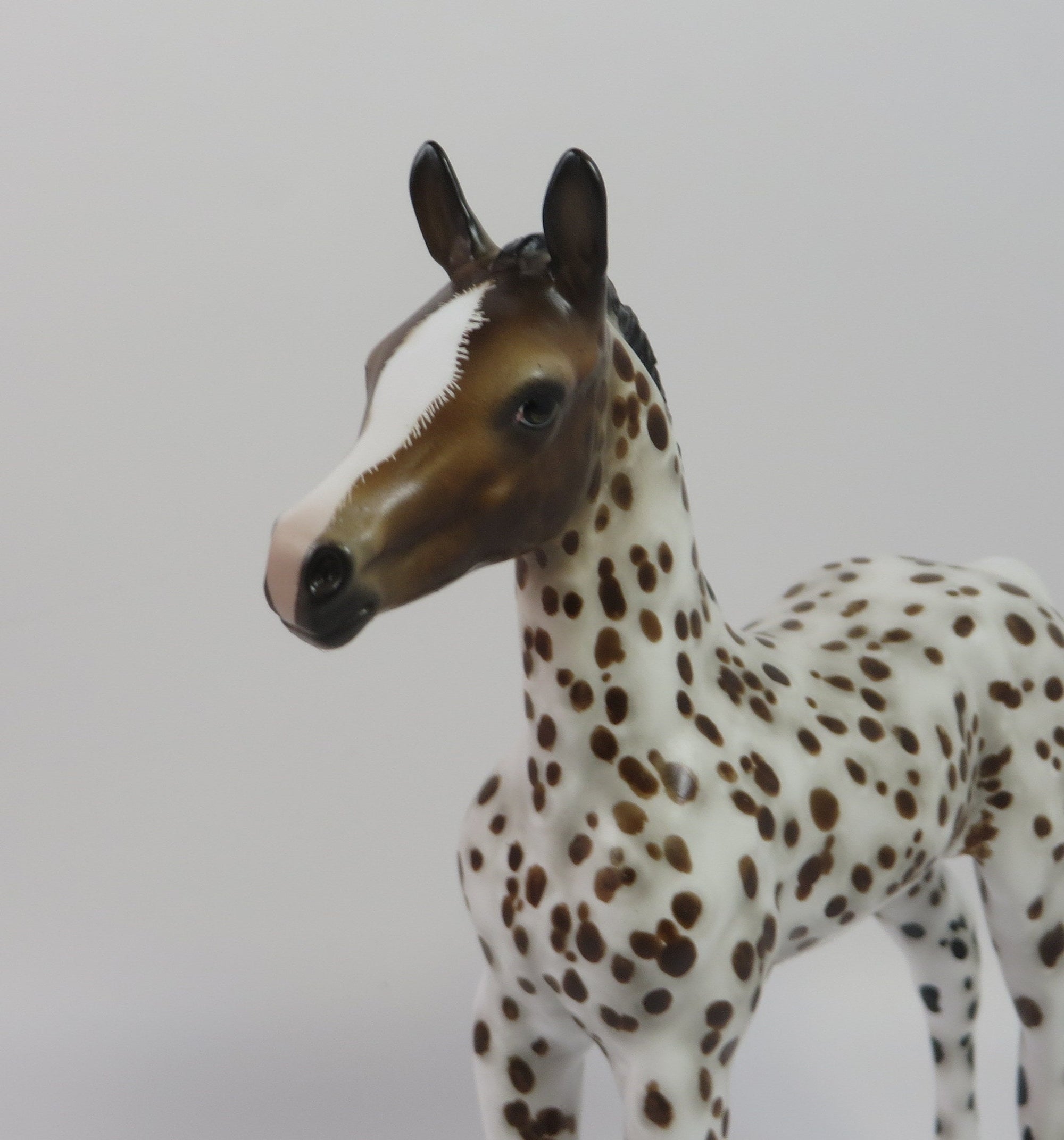 HOWDY-OOAK LOUD LEOPARD APPALOOSA FOAL BY SHERYL LEISURE 9/6/19