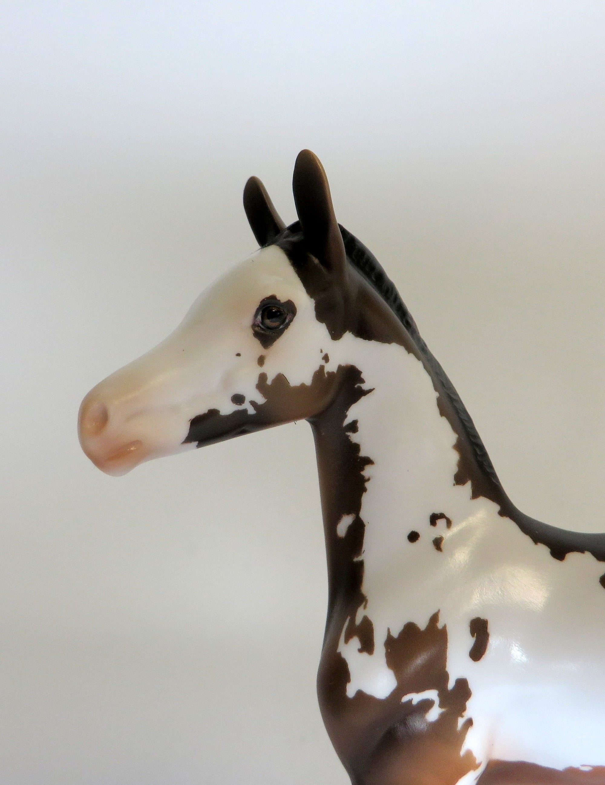 SCRAMBLE-OOAK BAY PINTO FOAL MODEL HORSE 4/17/19