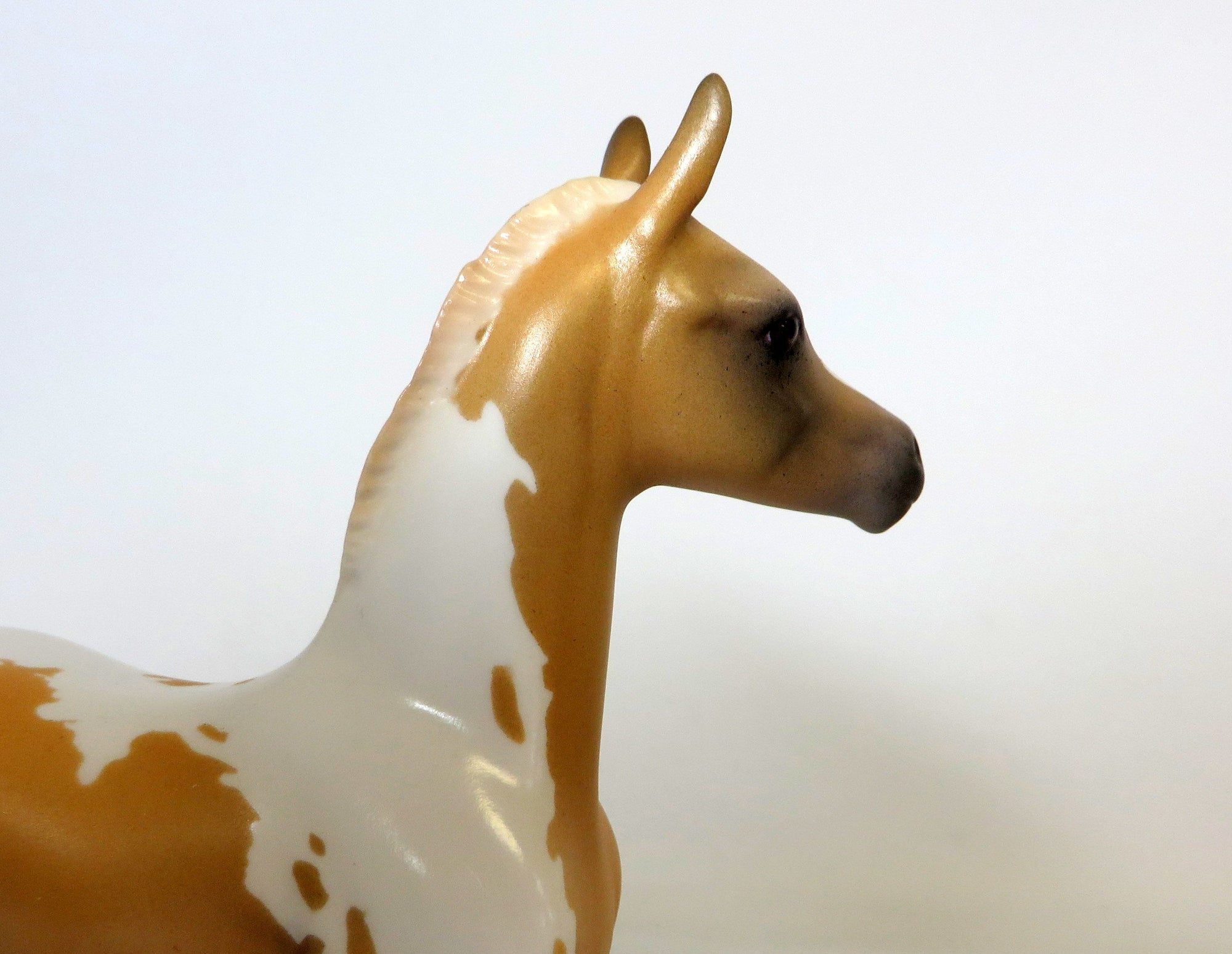 BUTERSCOTH KISSES-OOAK PALOMINO PINTO FOAL MODEL HORSE 4/17/19