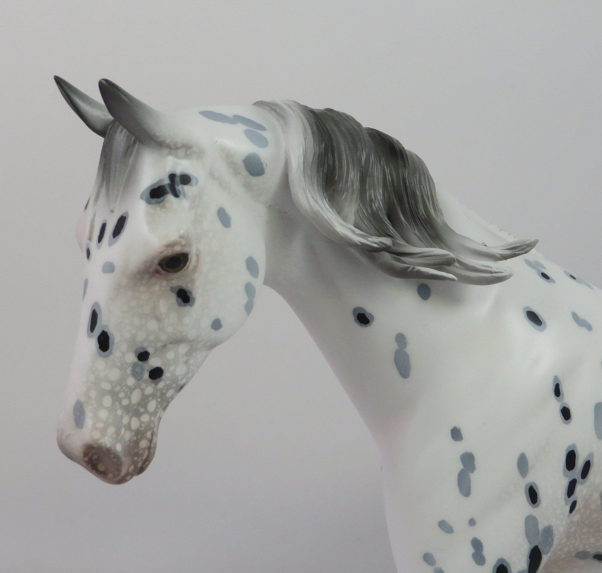 BOZO-LE-10 APPALOOSA MODEL HORSE LHS 19