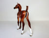 chestnut foal 