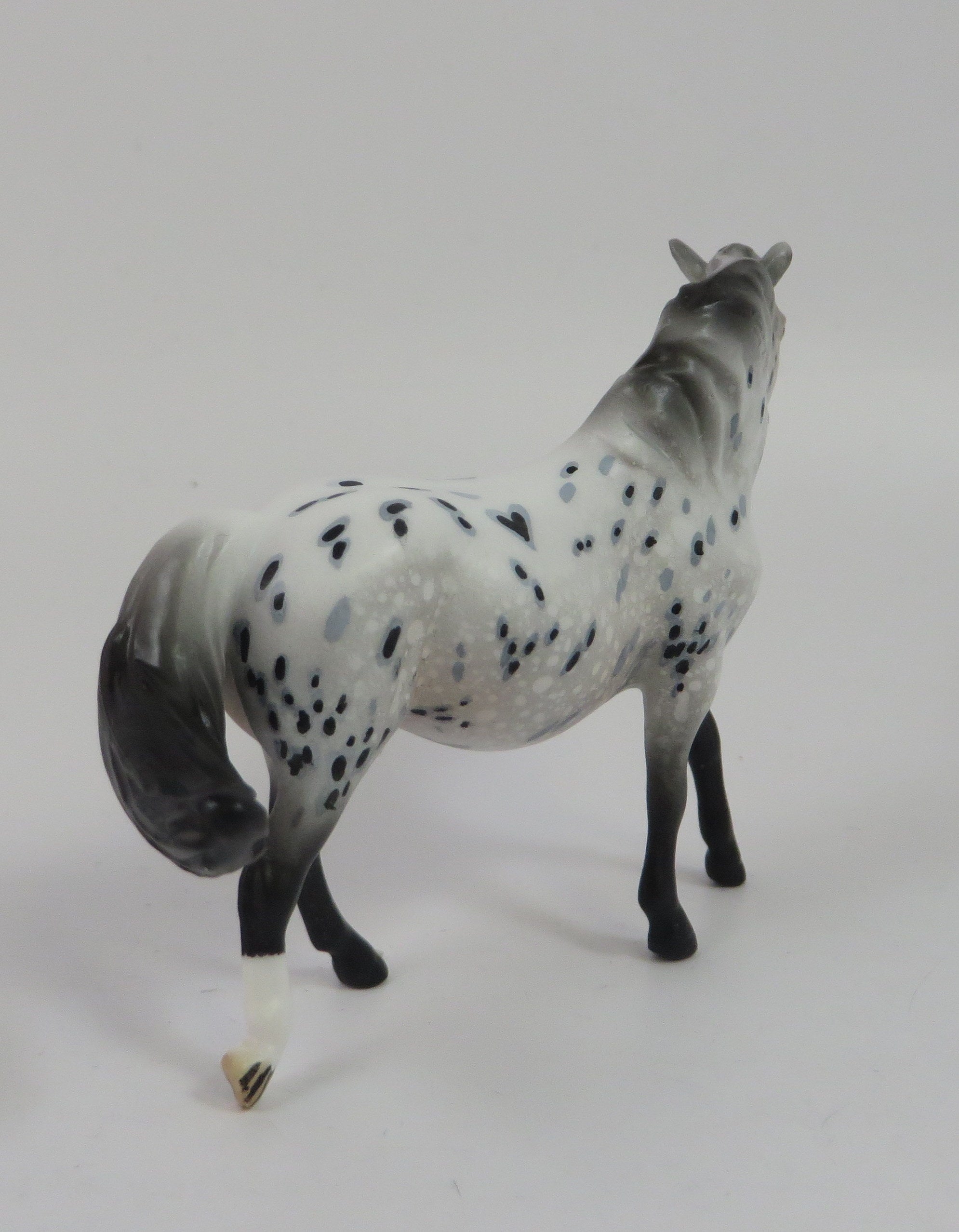 BOZO-LE-10 APPALOOSA CHIP MODEL HORSE LHS 19