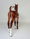 HEART BREAKER-OOAK CHESTNUT FOAL MODEL HORSE  4/17/19