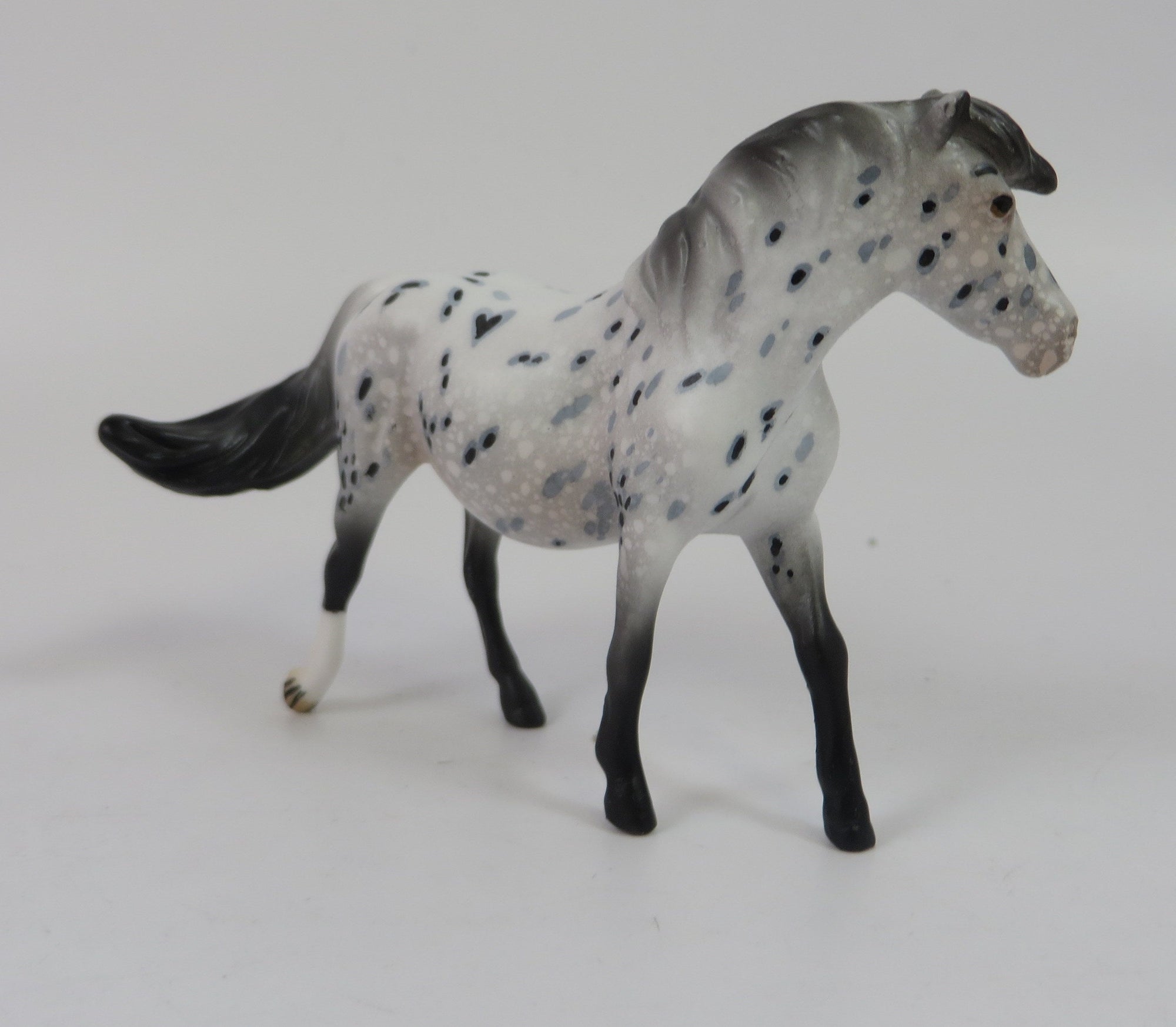 BOZO-LE-10 APPALOOSA CHIP MODEL HORSE LHS 19