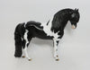 ANGUS-OOAK ETCHED PINTO ANDALUSIAN BY DAWN QUICK 8/10/18