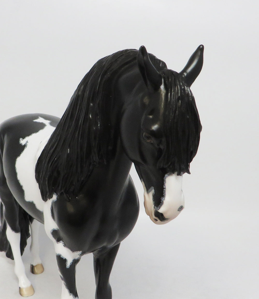 ANGUS-OOAK ETCHED PINTO ANDALUSIAN BY DAWN QUICK 8/10/18
