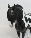 ANGUS-OOAK ETCHED PINTO ANDALUSIAN BY DAWN QUICK 8/10/18