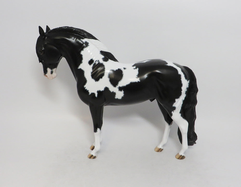 ANGUS-OOAK ETCHED PINTO ANDALUSIAN BY DAWN QUICK 8/10/18