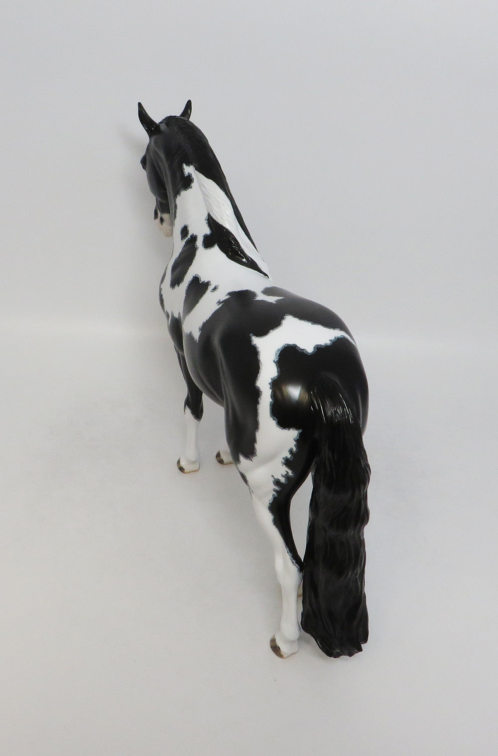 ANGUS-OOAK ETCHED PINTO ANDALUSIAN BY DAWN QUICK 8/10/18