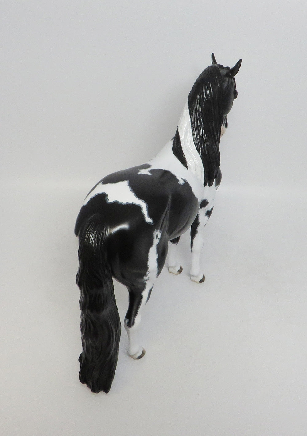 ANGUS-OOAK ETCHED PINTO ANDALUSIAN BY DAWN QUICK 8/10/18