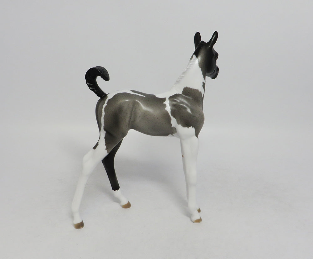 BLUE-OOAK BLUE ROAN TOBIANO FOAL MODEL HORSE 8/17/18