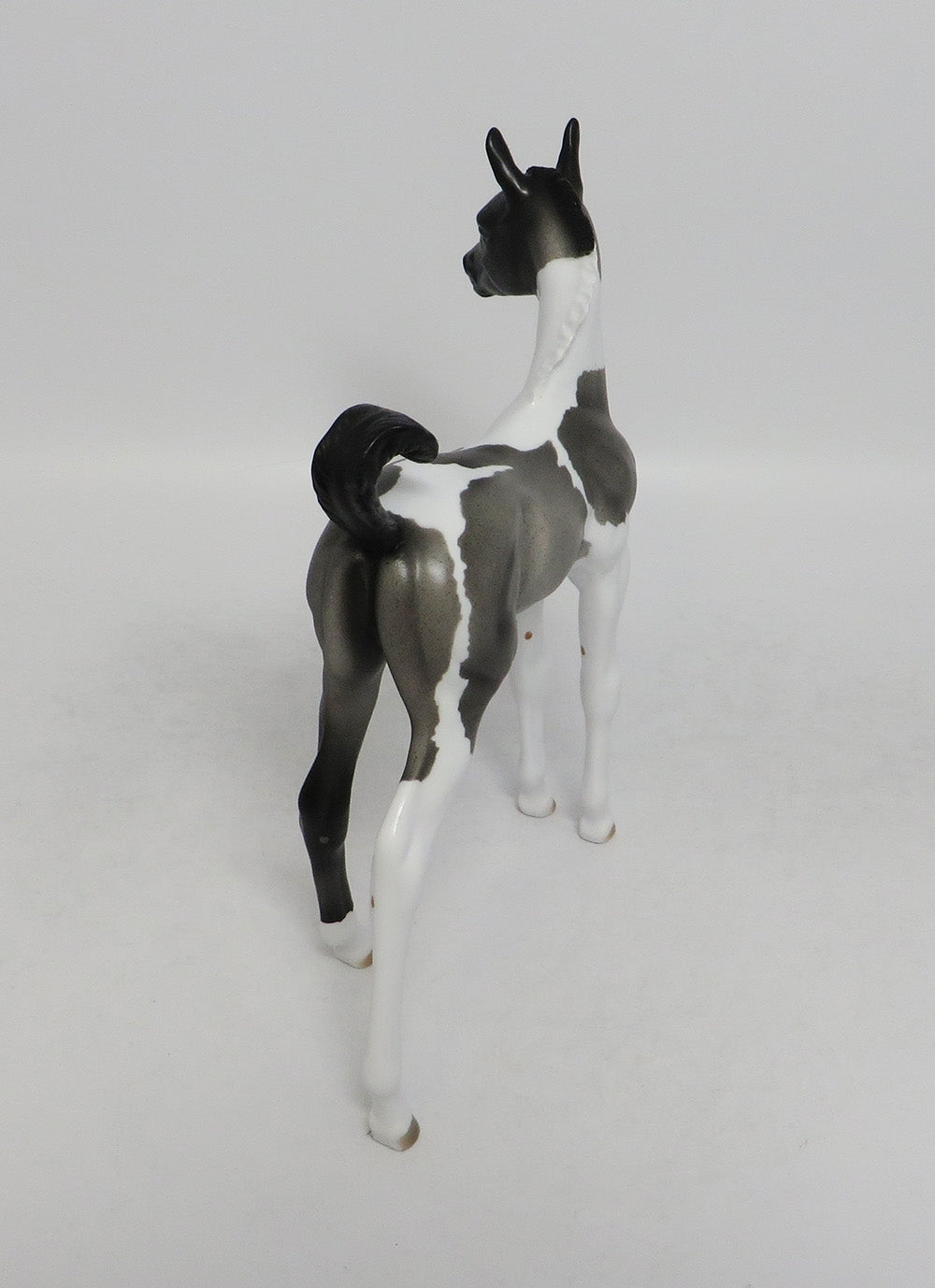 BLUE-OOAK BLUE ROAN TOBIANO FOAL MODEL HORSE 8/17/18