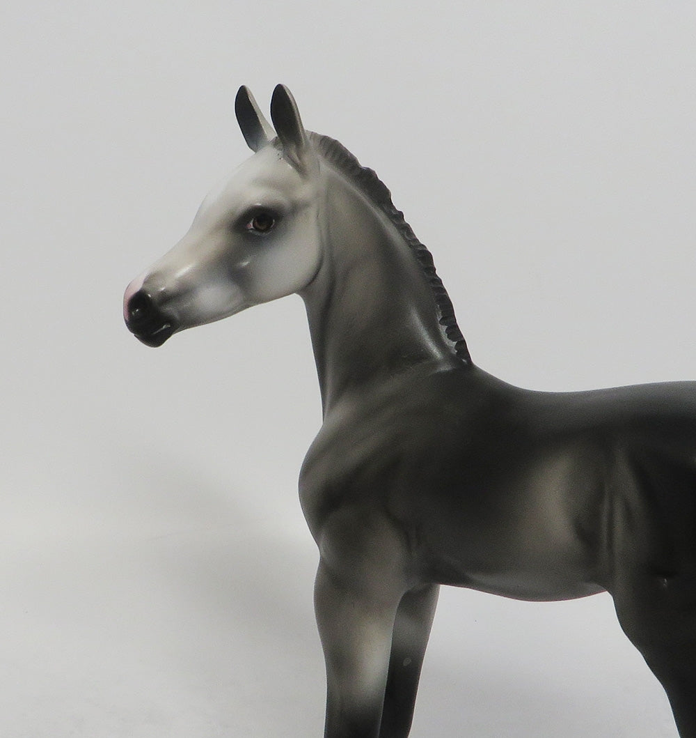 CLASSY-OOAK GREY FOAL MODEL HORSE 8/17/18
