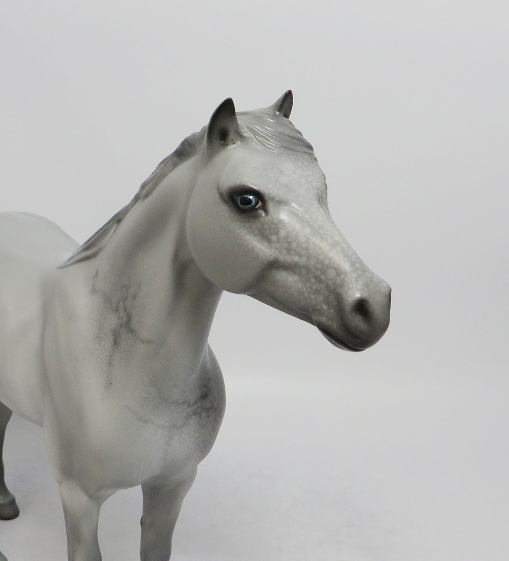 DERBY - OOAK LIGHT GREY MUSTANG MODEL HORSE