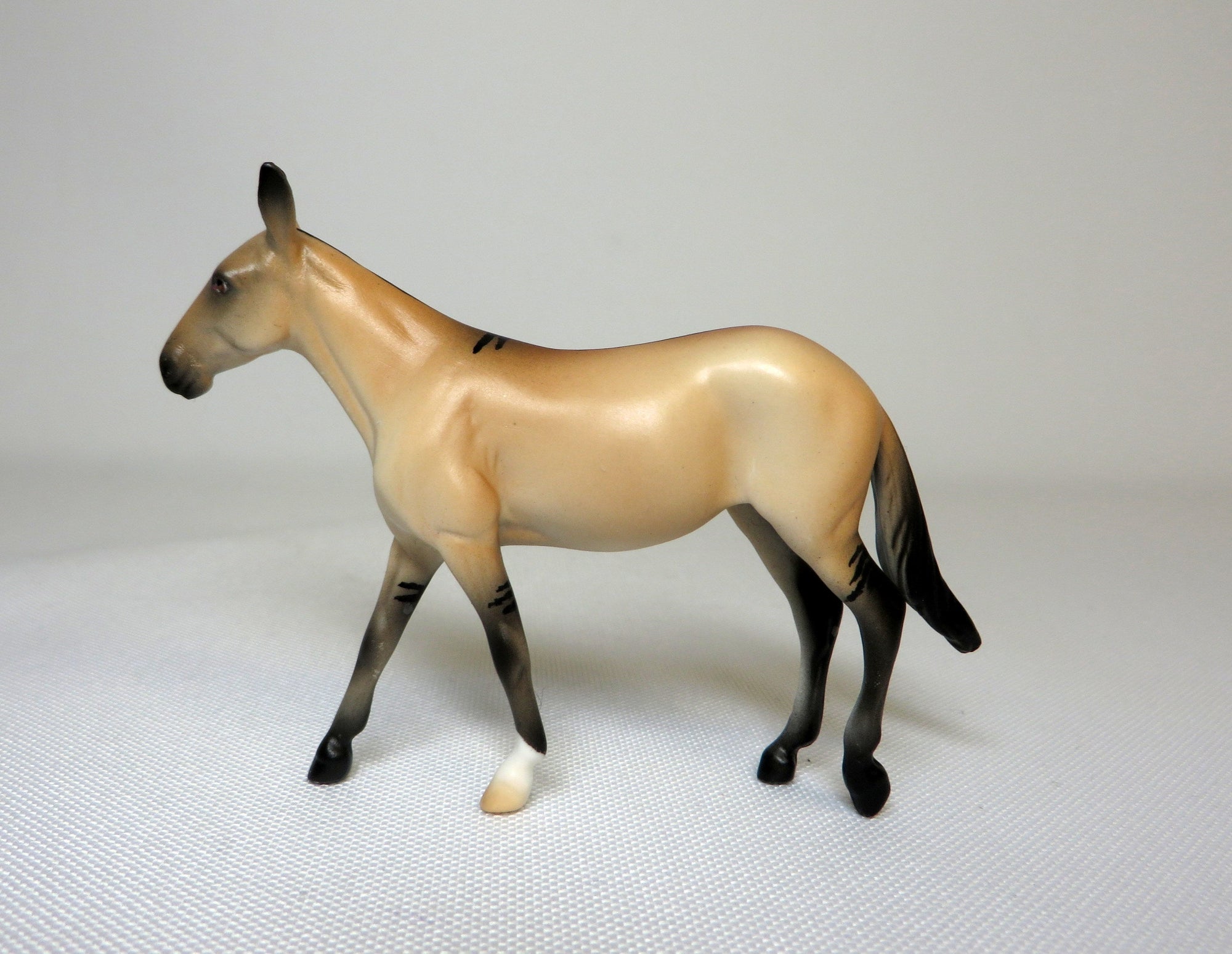 HOOEY-OOAK BUCKSKIN MULE CHIP SHCF 19