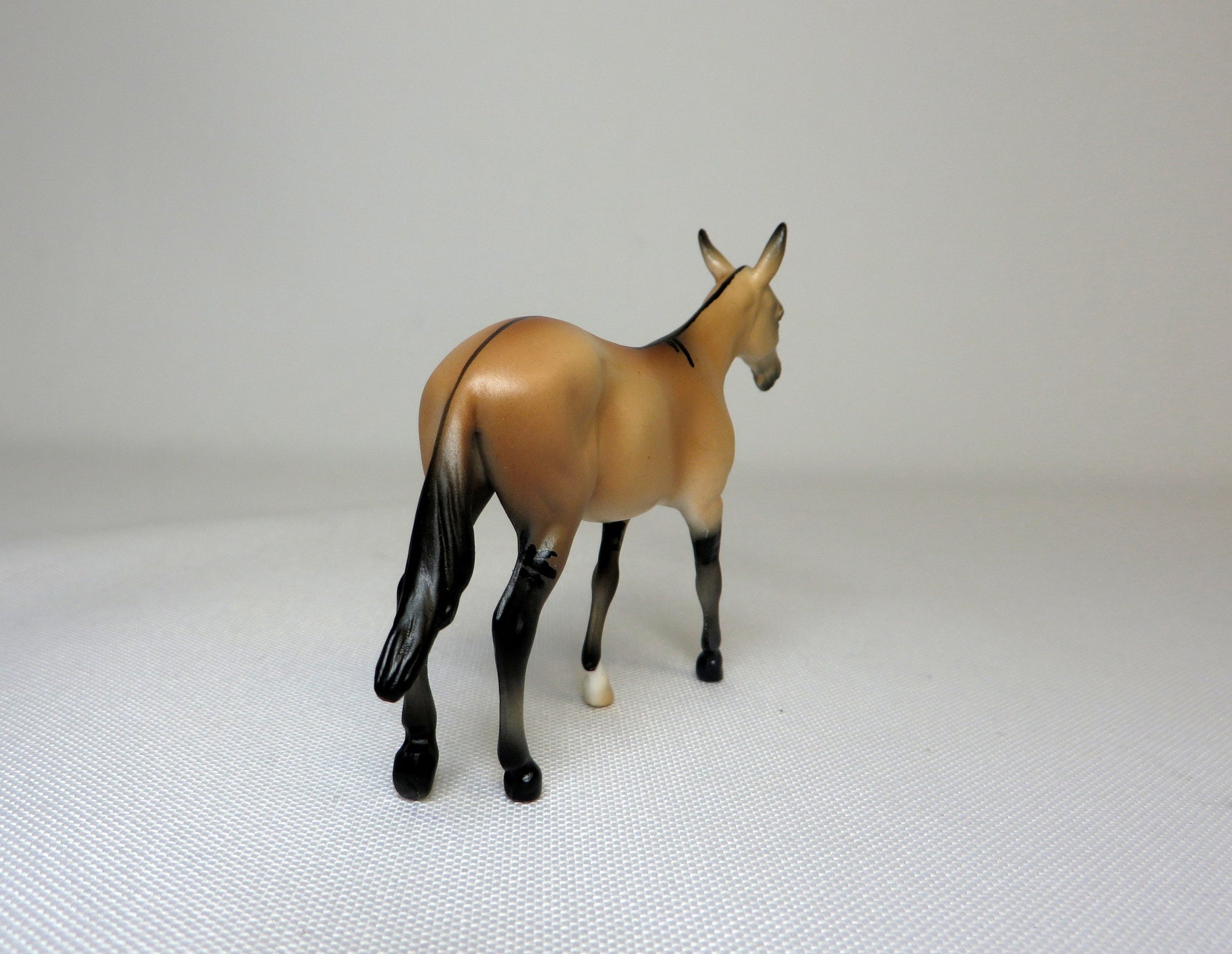 HOOEY-OOAK BUCKSKIN MULE CHIP SHCF 19