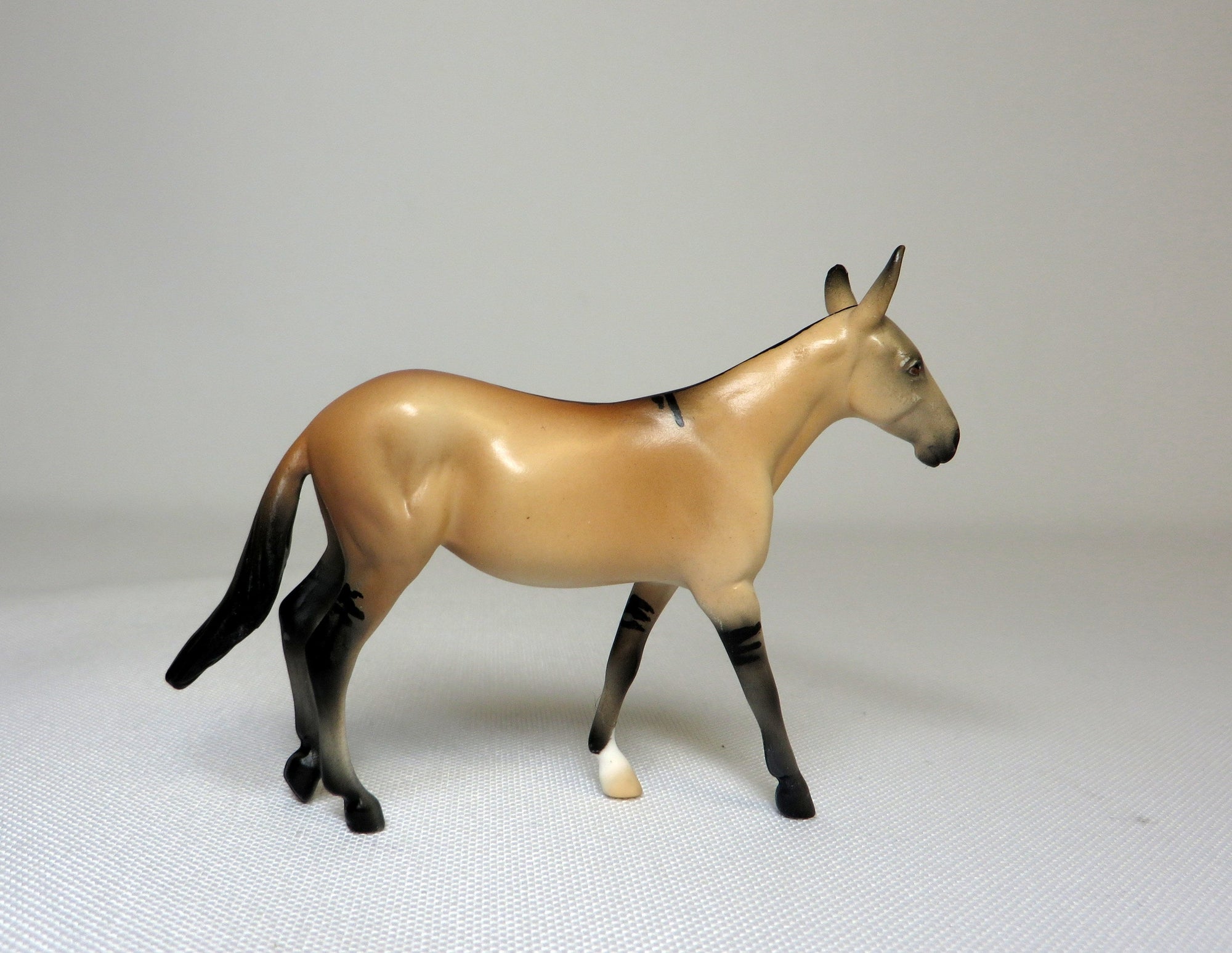 HOOEY-OOAK BUCKSKIN MULE CHIP SHCF 19