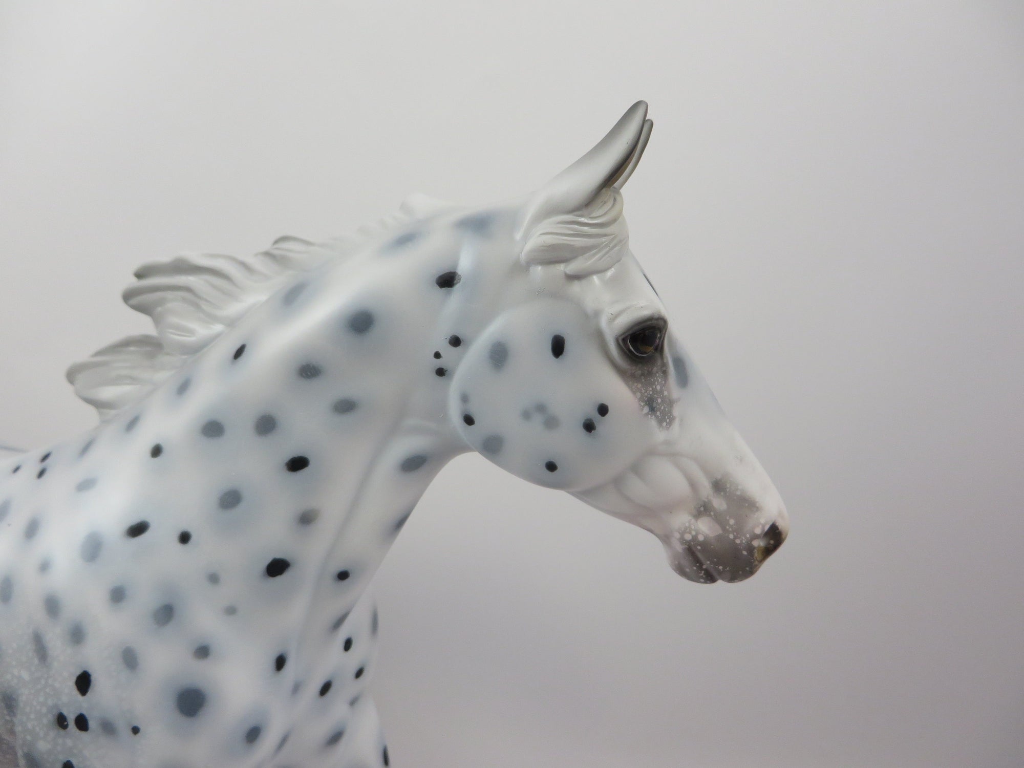 RIGMAROLE-OOAK LOUD APPALOOSA PALOUSE MODEL HORSE 9/6/19