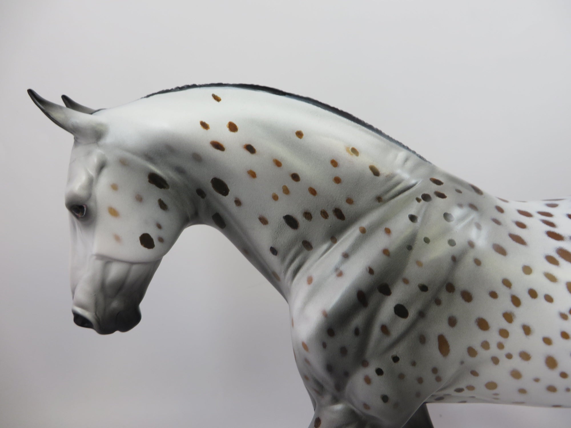 COSMIC-OOAK BAY APPALOOSA IRISH DRAFT MODEL HORSE 9/6/19