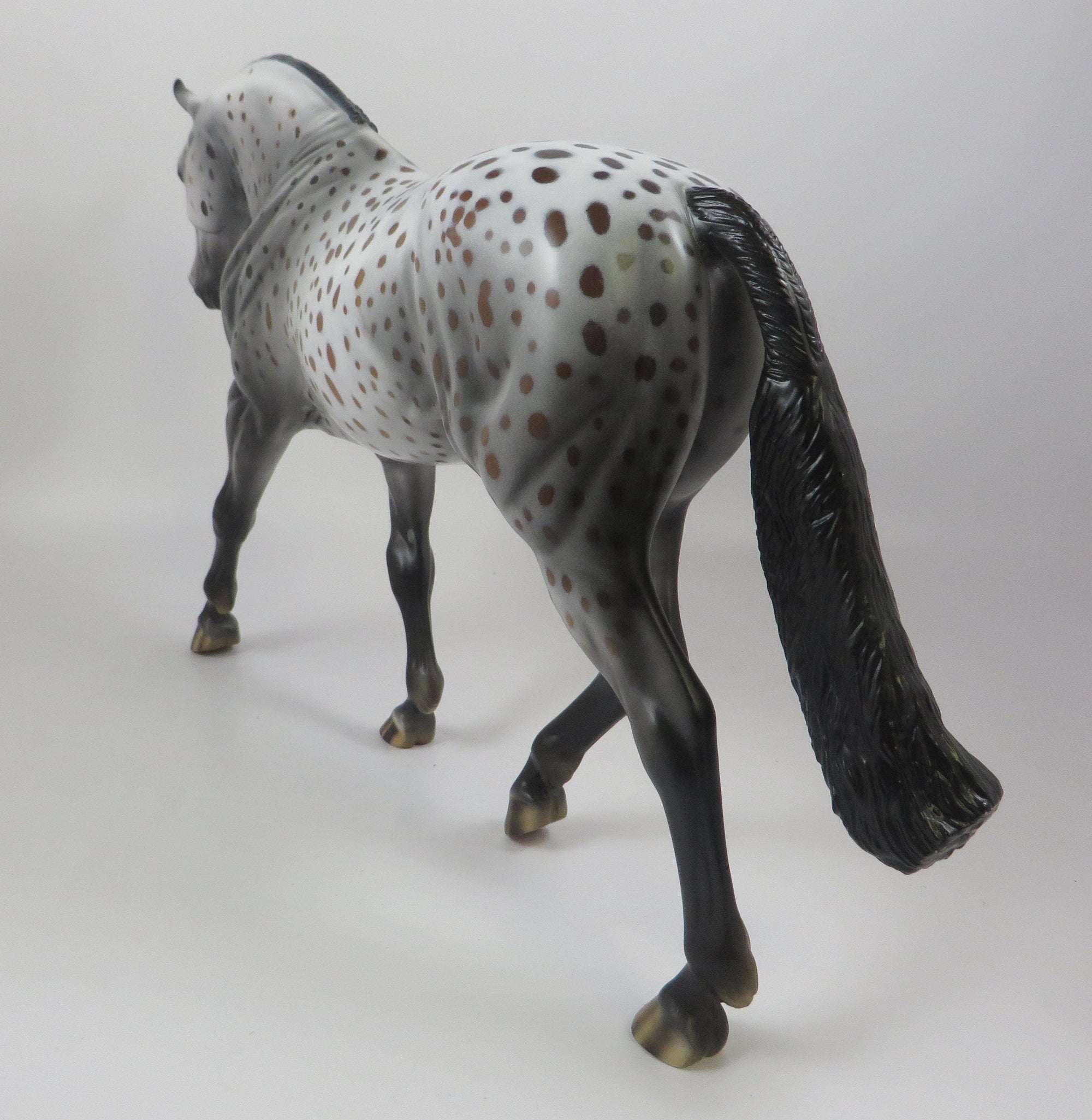 appaloosa