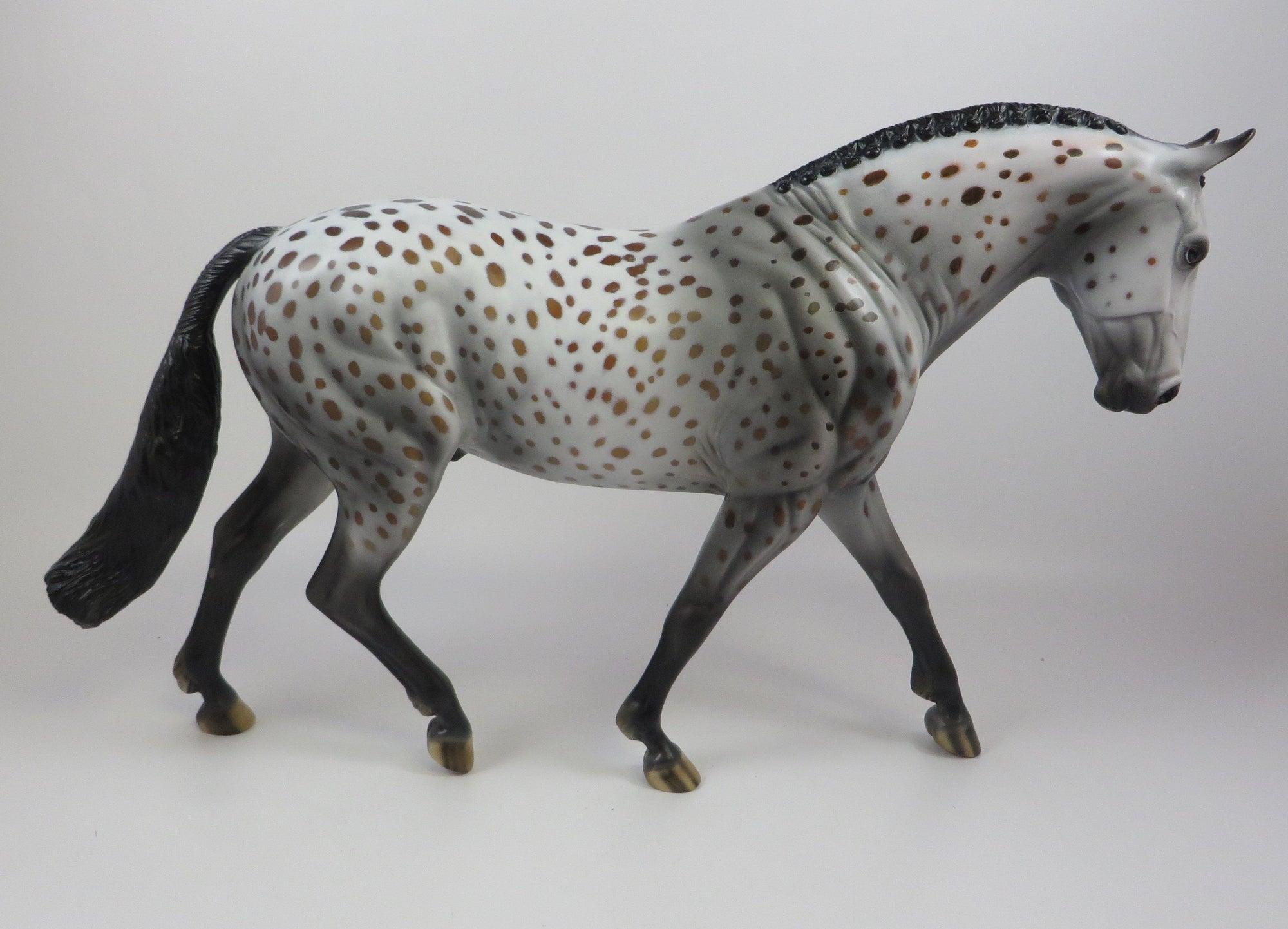 COSMIC-OOAK BAY APPALOOSA IRISH DRAFT MODEL HORSE 9/6/19
