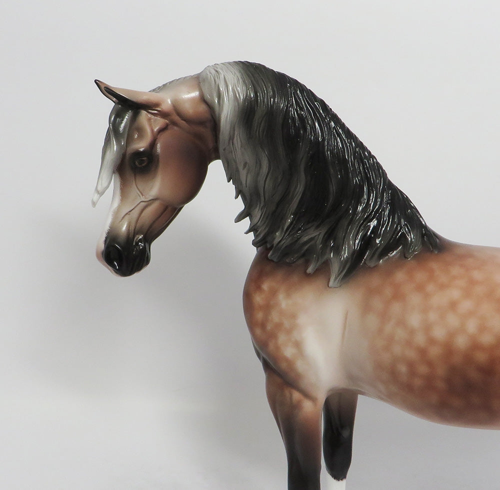 SILENT SAILOR-OOAK DAPPLE ROSE GREY ARABIAN BY SHERYL LEISURE 8/17/18