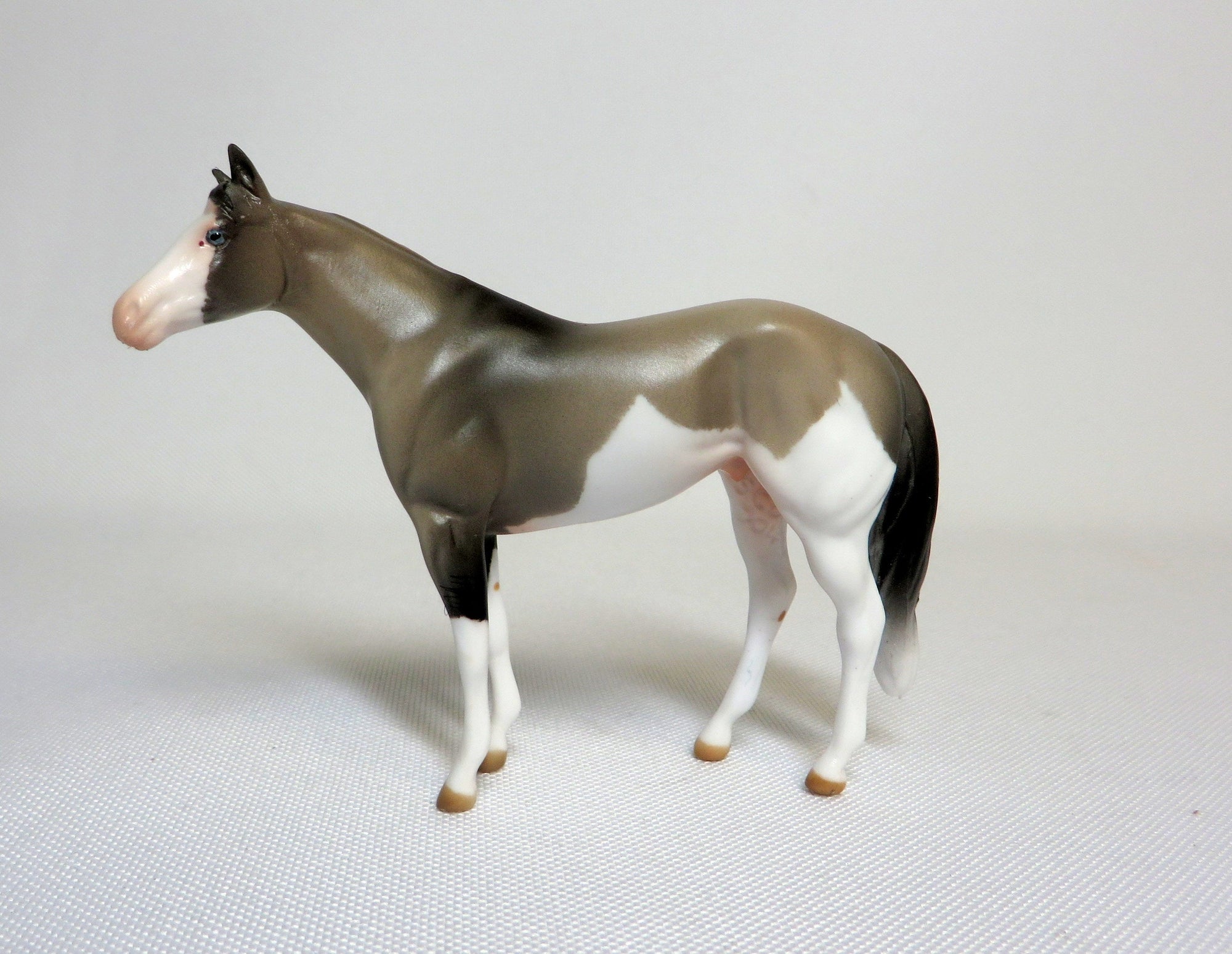 RSVP-OOAK GRULLA SPLASH STOCK HORSE CHIP SHCF 2019