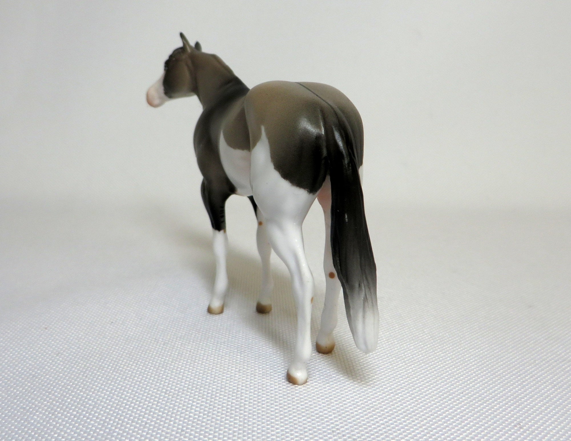 RSVP-OOAK GRULLA SPLASH STOCK HORSE CHIP SHCF 2019