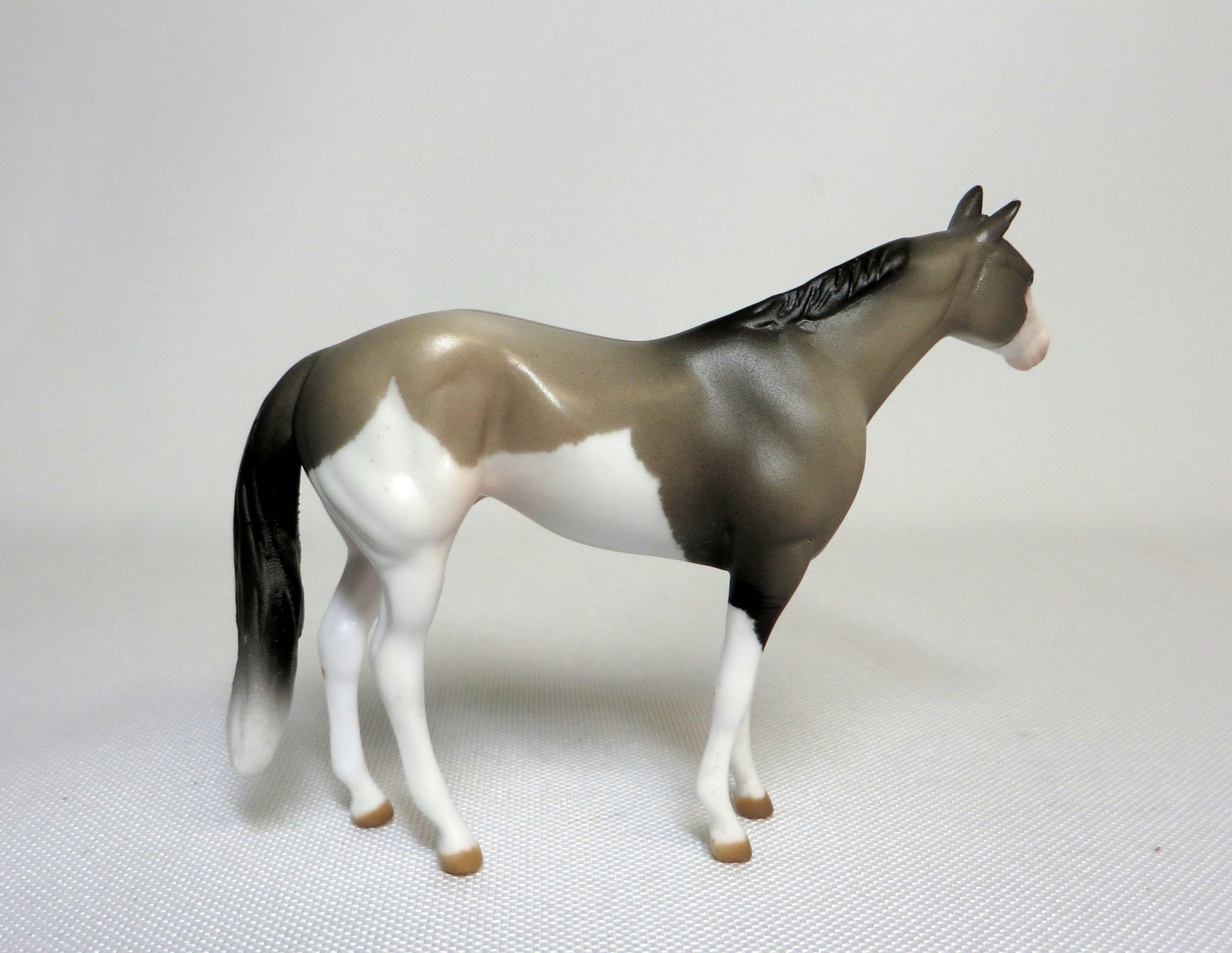RSVP-OOAK GRULLA SPLASH STOCK HORSE CHIP SHCF 2019
