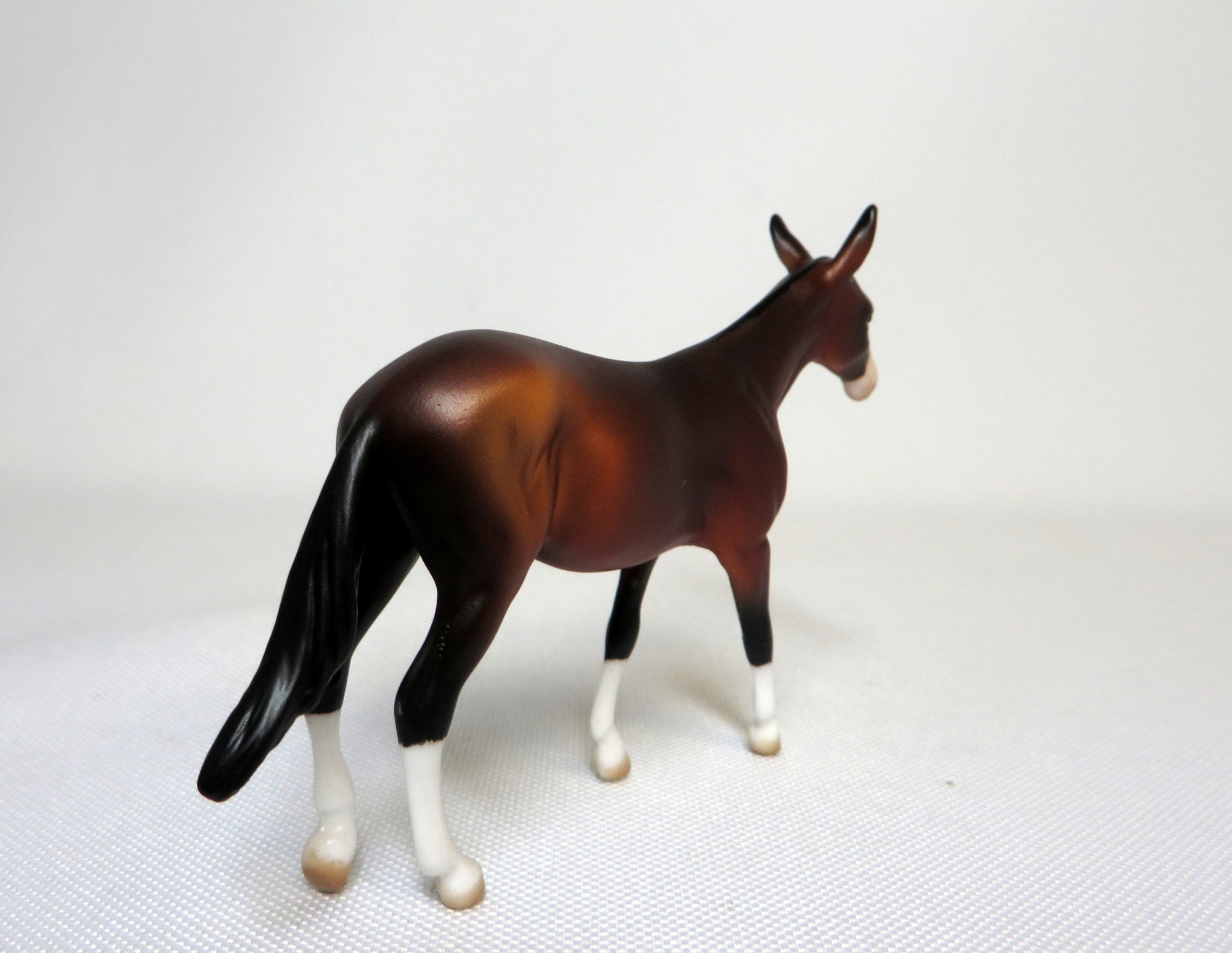 PARTY TIME-OOAK BAY CHIP MULE SHCF 2019