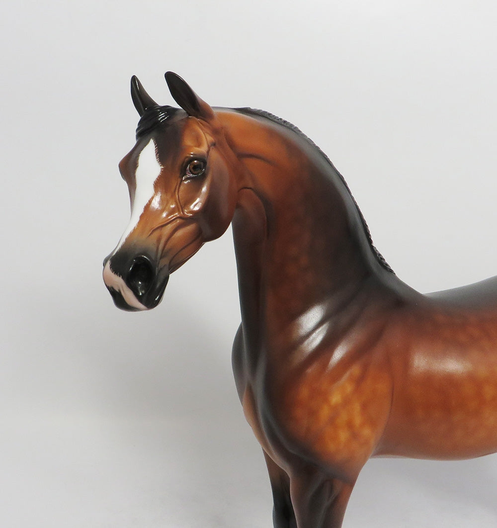 THIRTY THREE THEIVES-OOAK DAPPLE BAY ARABIAN BY SHERYL LEISURE 8/17/18