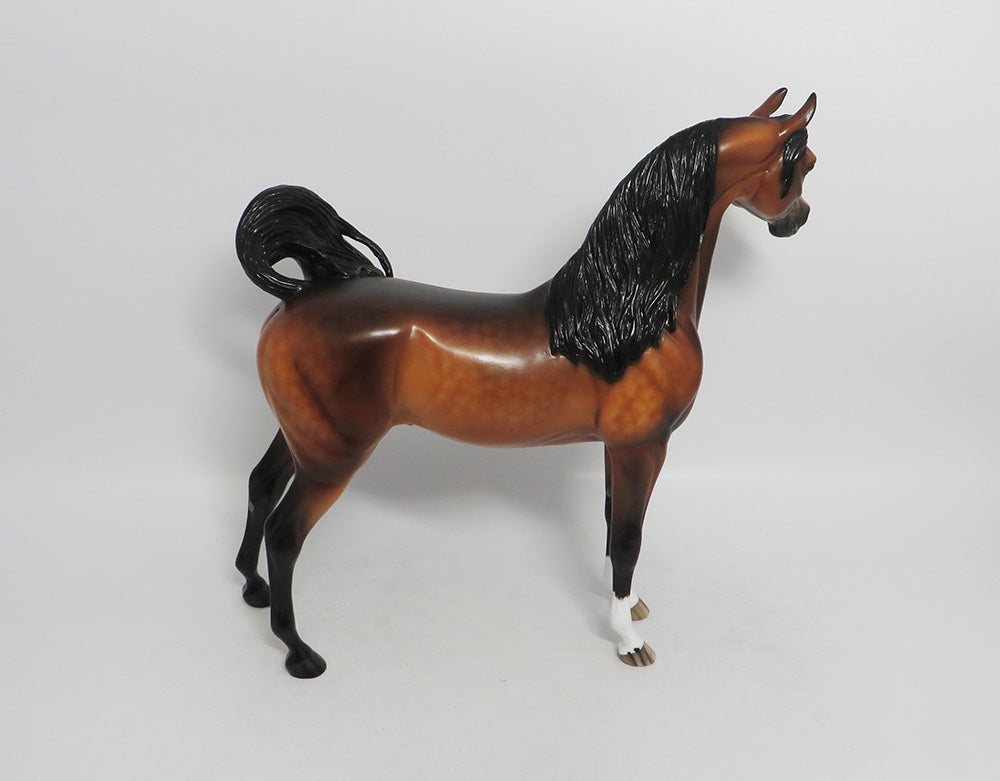 THIRTY THREE THEIVES-OOAK DAPPLE BAY ARABIAN BY SHERYL LEISURE 8/17/18