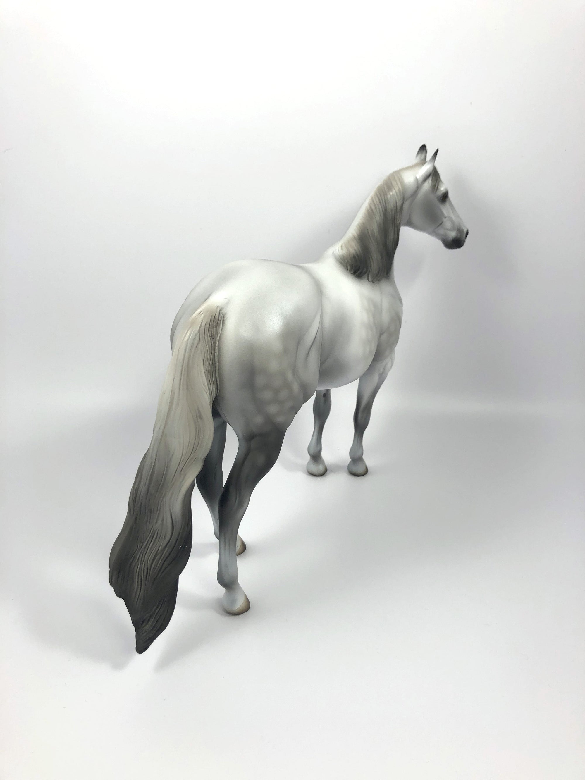 STARBURST -OOAK DAPPLE GREY ISH MODEL HORSE SHCF19