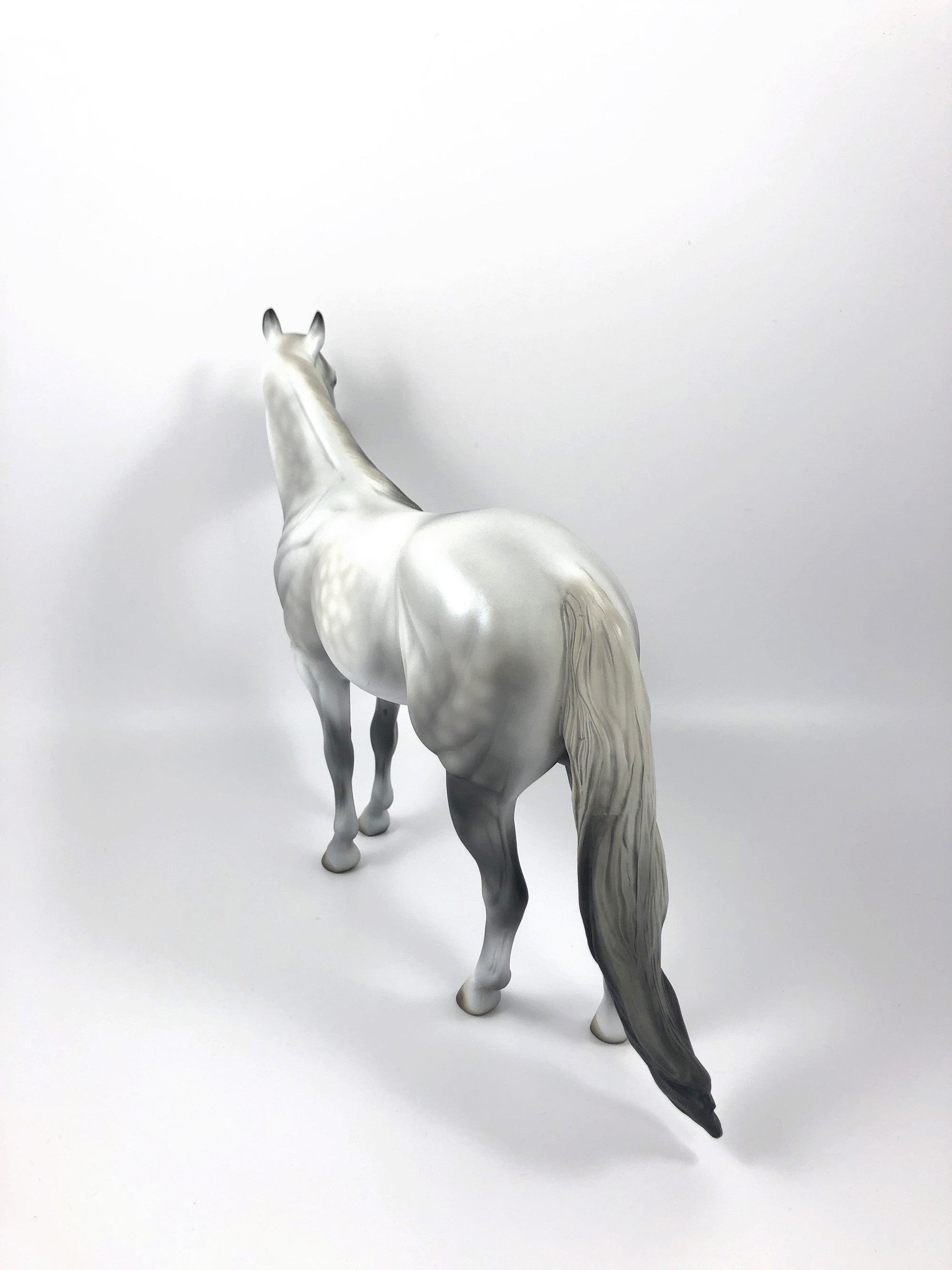 STARBURST -OOAK DAPPLE GREY ISH MODEL HORSE SHCF19
