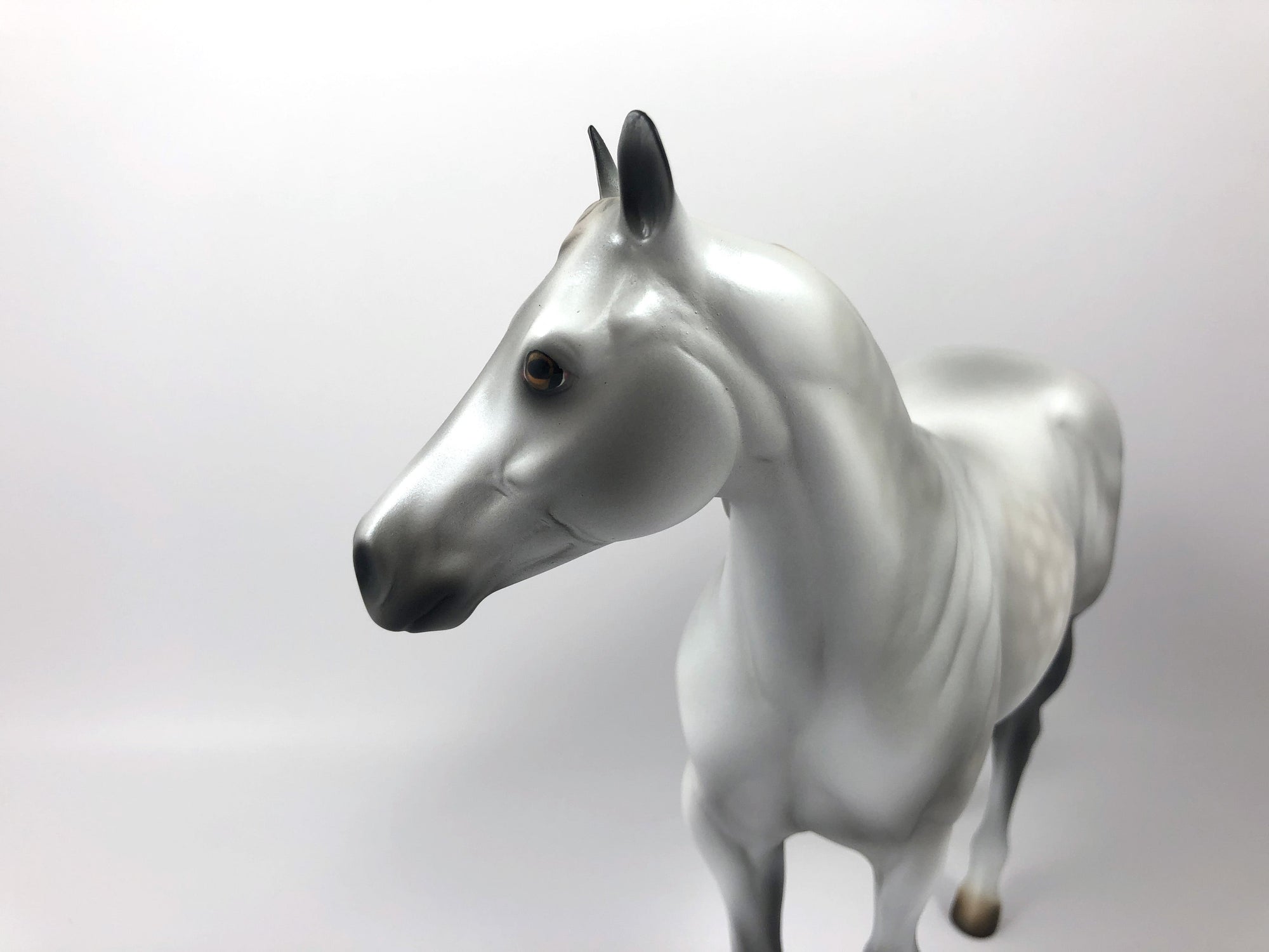 STARBURST -OOAK DAPPLE GREY ISH MODEL HORSE SHCF19
