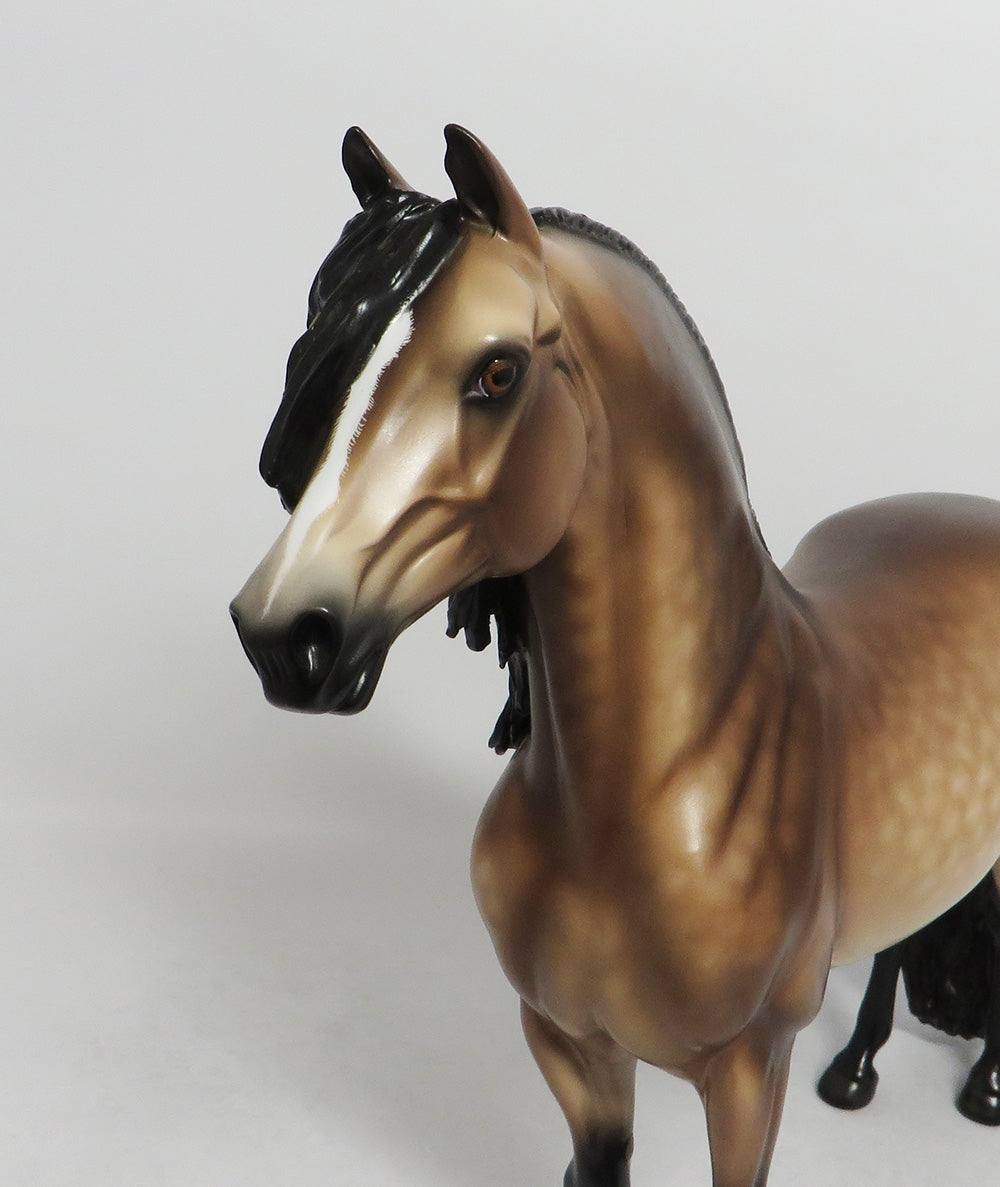 IRISH WRIST WATCH-OOAK DAPPLE BUCKSKIN MORGAN BY SHERYL LEISURE 8/17/18