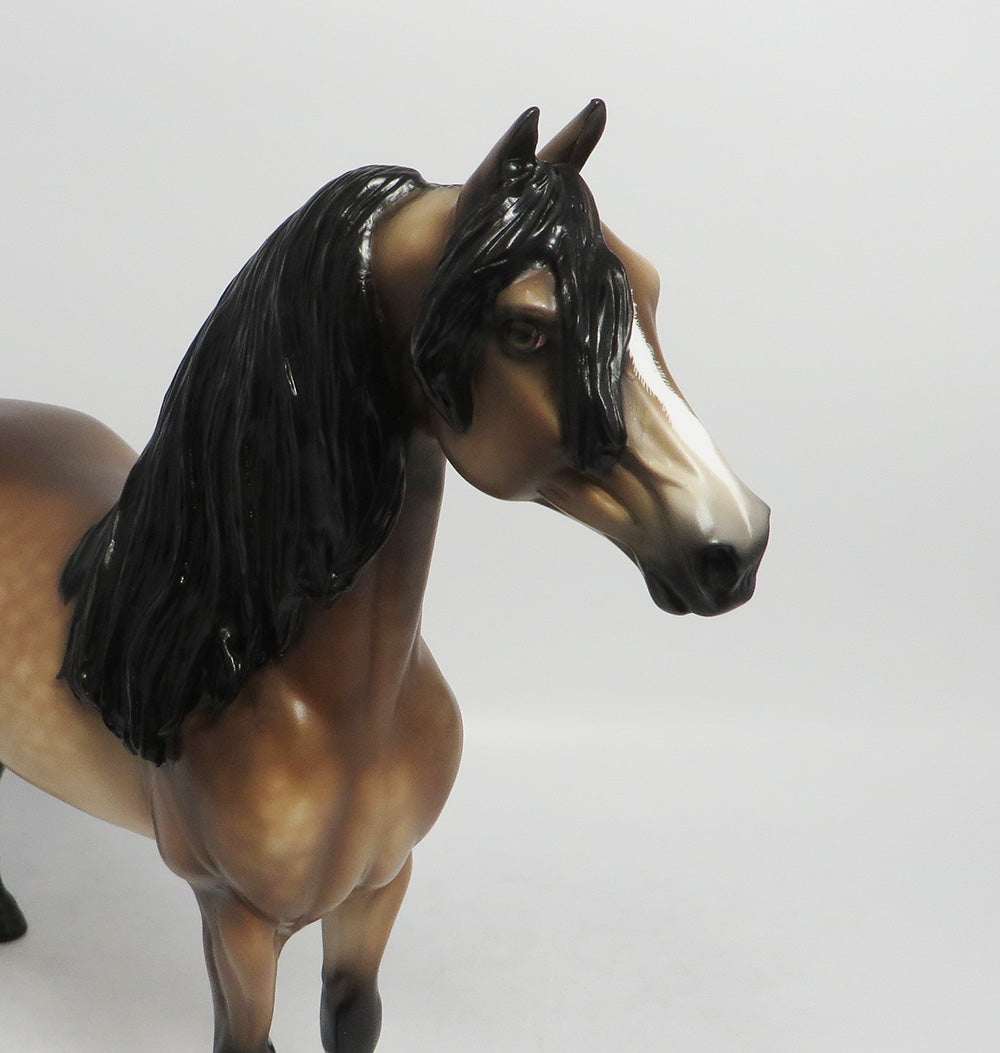 IRISH WRIST WATCH-OOAK DAPPLE BUCKSKIN MORGAN BY SHERYL LEISURE 8/17/18