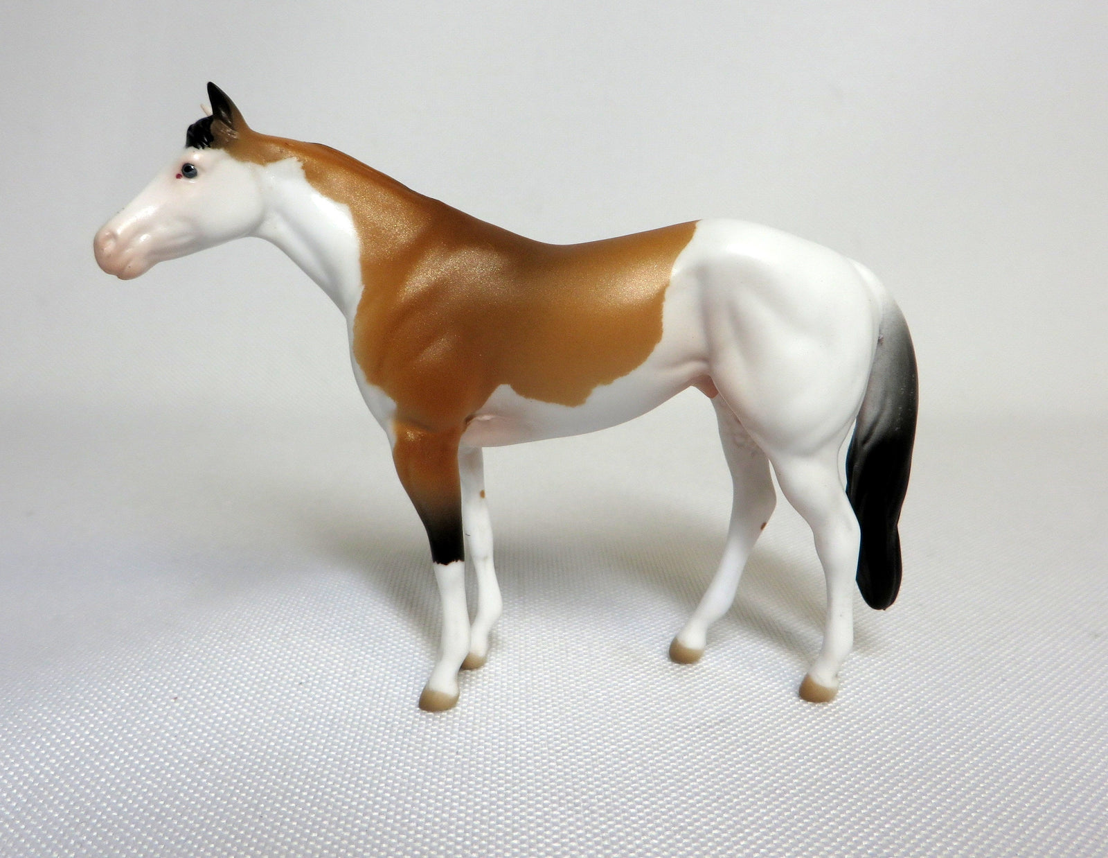 stock horse