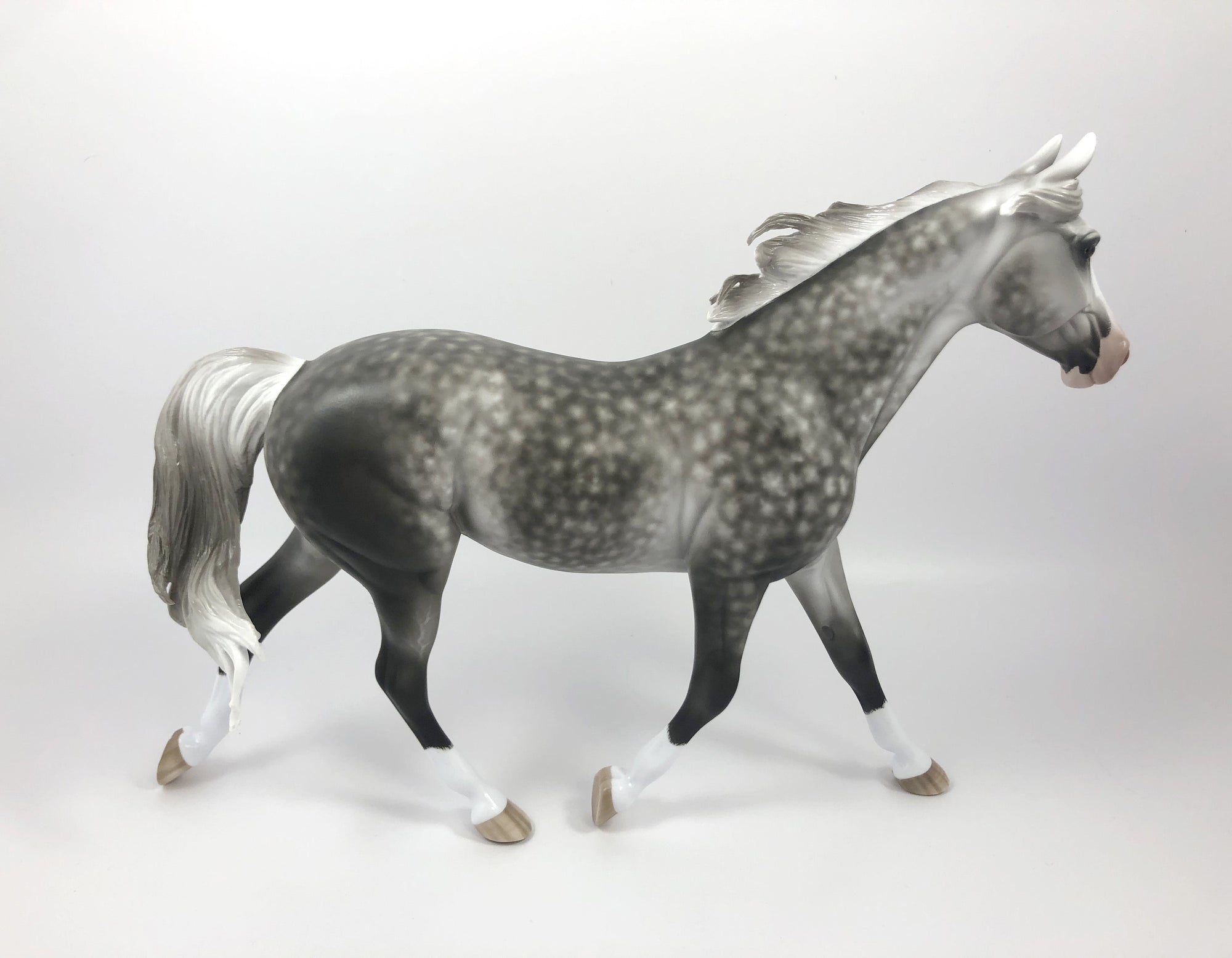 OPENING NIGHT-OOAK STAR DAPPLE PALOUSE BY SHERYL LEISURE SHCF19