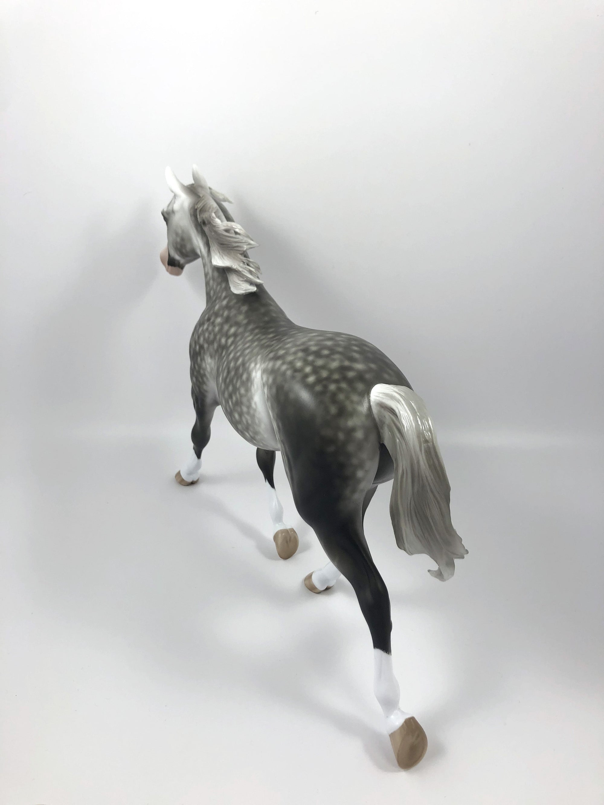 OPENING NIGHT-OOAK STAR DAPPLE PALOUSE BY SHERYL LEISURE SHCF19