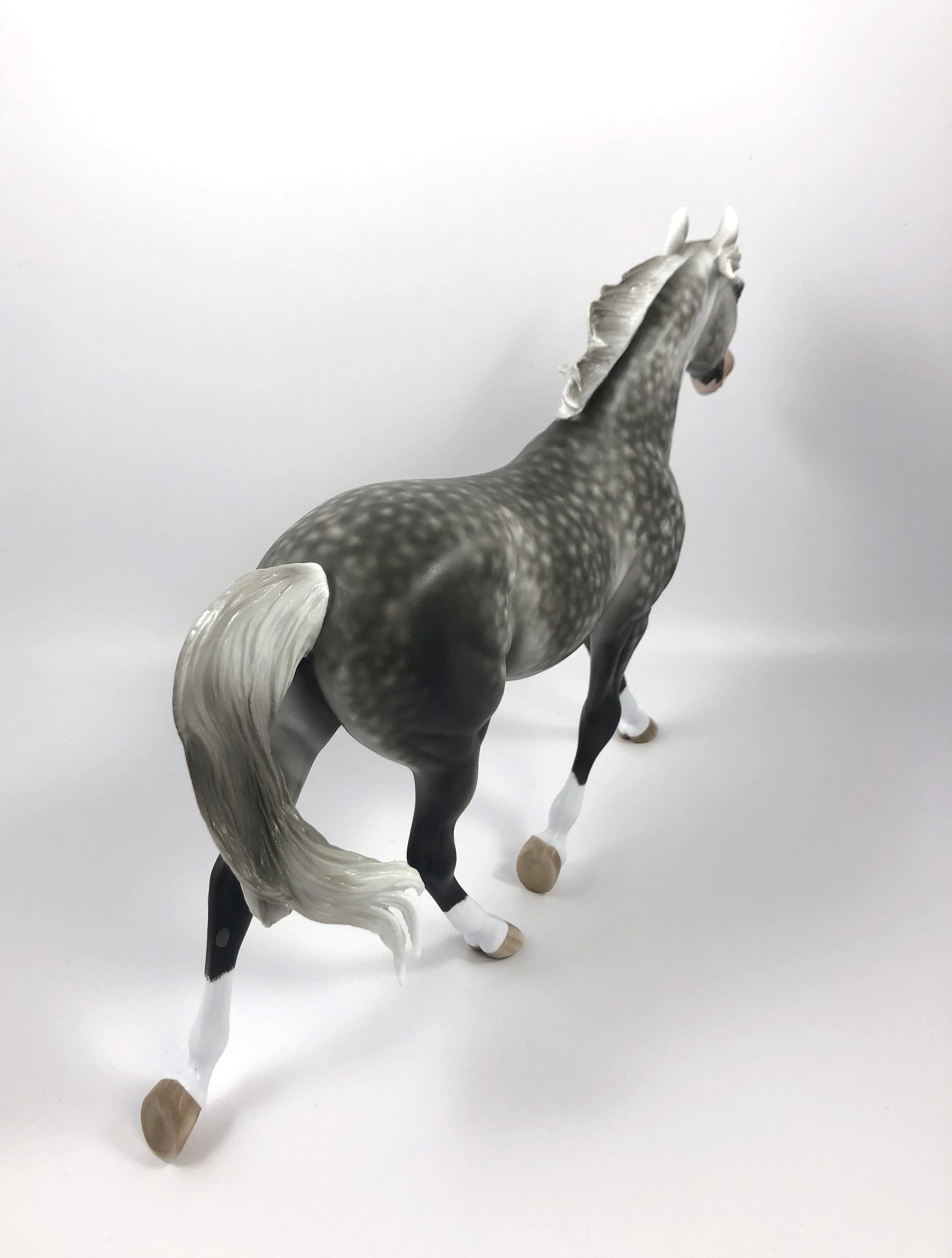 OPENING NIGHT-OOAK STAR DAPPLE PALOUSE BY SHERYL LEISURE SHCF19
