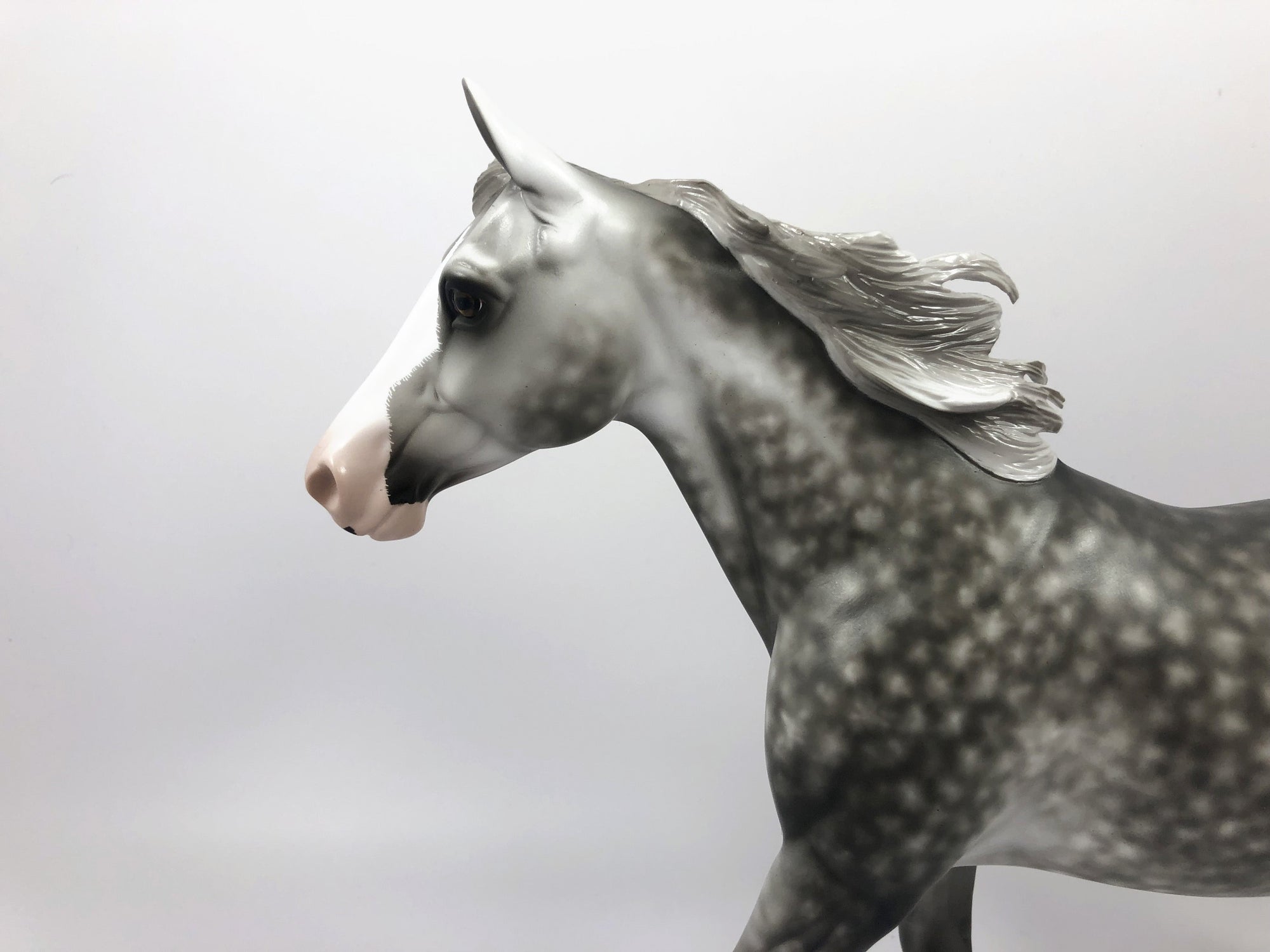 OPENING NIGHT-OOAK STAR DAPPLE PALOUSE BY SHERYL LEISURE SHCF19