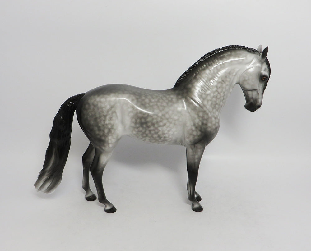 SHE SELLS SEA SHELLS-OOAK EXTREME DAPPLE GREY ANDALUSION BY SHERYL LEISURE 8/17/18