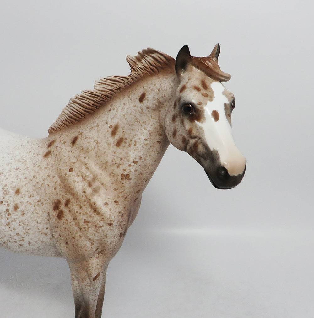 chestnut appaloosa